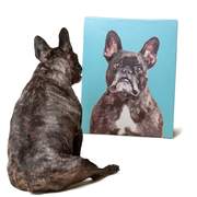 Pet Art - Custom Wall Canvas Prints Of Your Pet