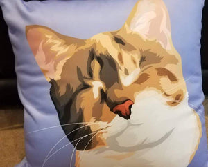 Custom Pet Couch Pillow