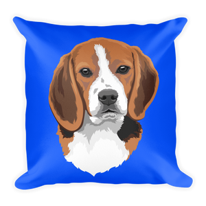 Custom Pet Couch Pillow